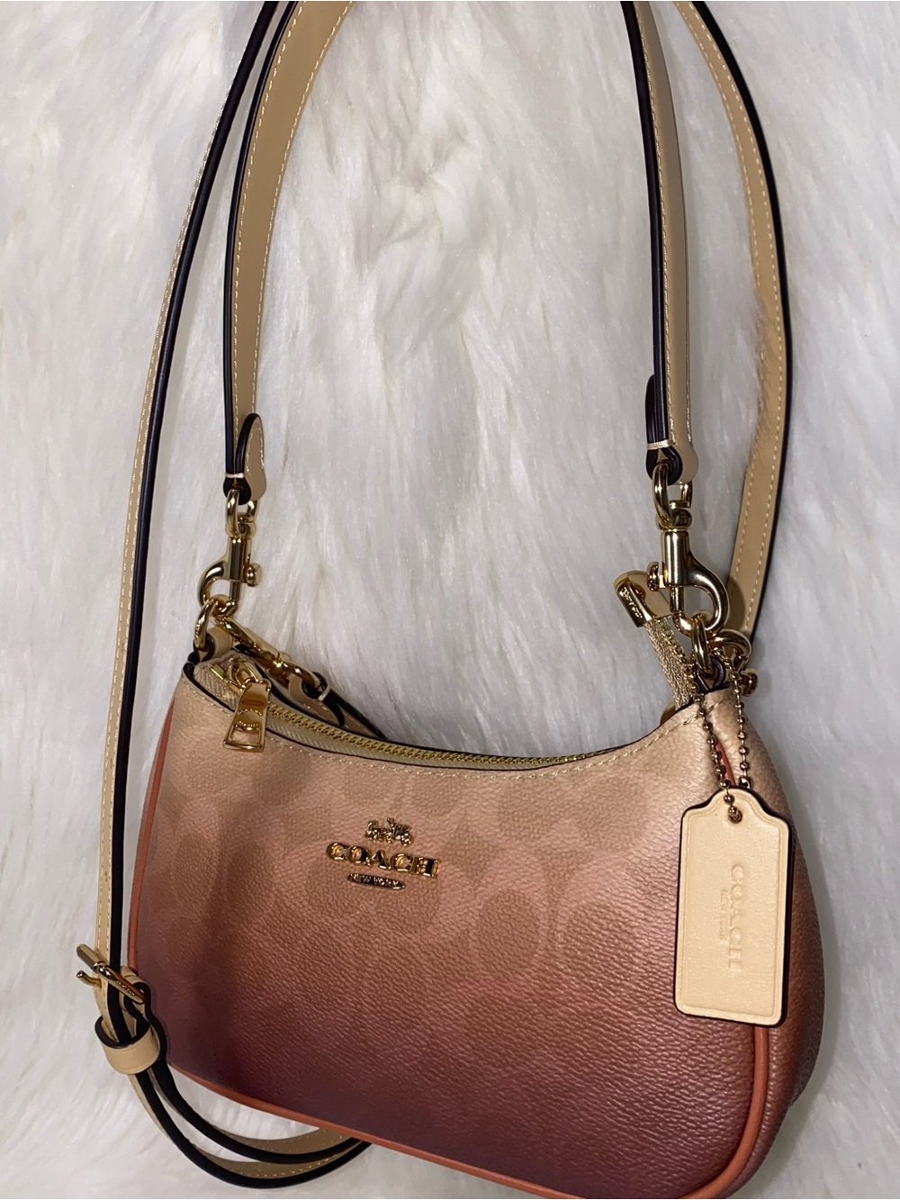 Coach purse Teri Mini Crossbody Bag In Ombre Signature Canvas New